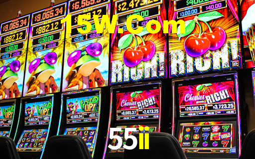 55ii.com